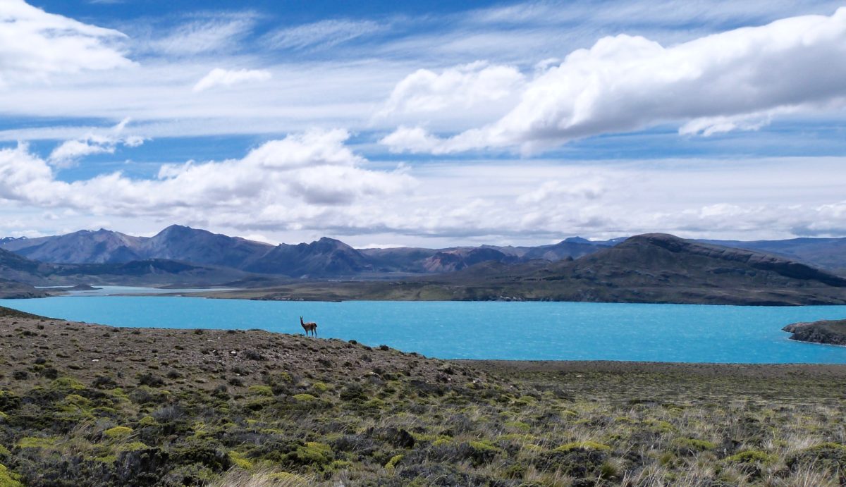 Argentinien / Patagonien